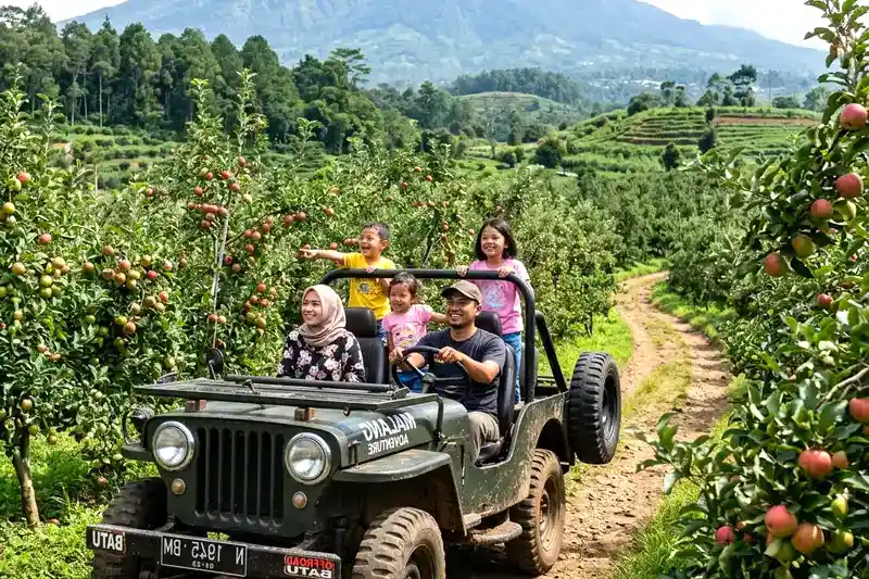 Sewa Jeep Offroad Batu Malang,Panduan Lengkap Sebelum Booking